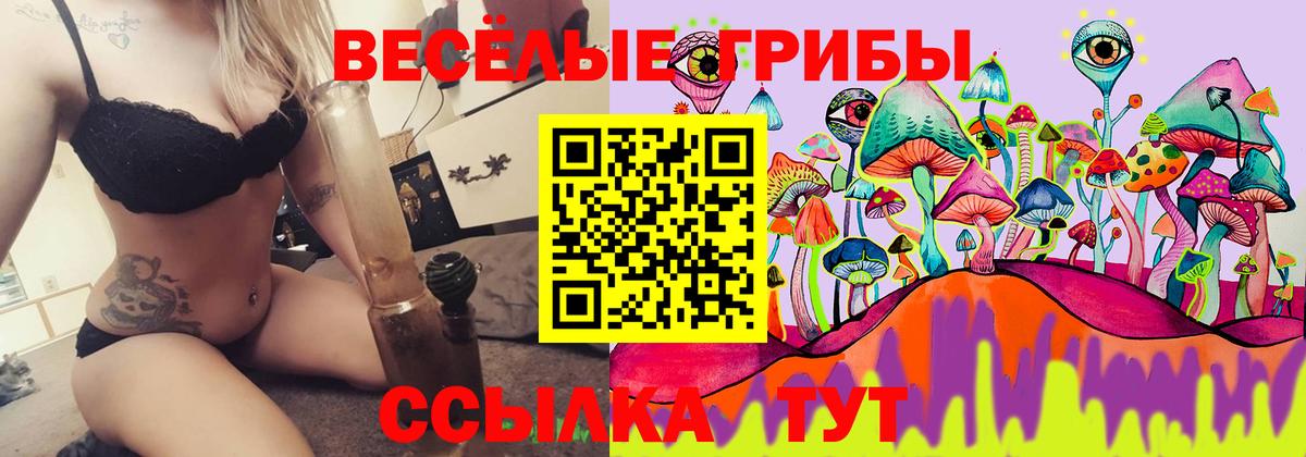 Галлюциногенные грибы прущие грибы  Вход с VPN  Назарово 